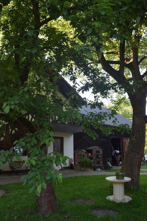 Gaestehaus Bohg Burg  Εξωτερικό φωτογραφία